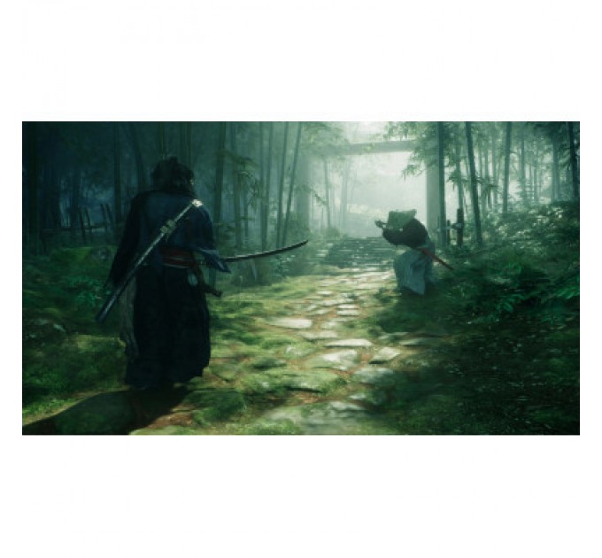 Sony Гра Sony Rise of the Ronin, BD диск [PS5] (1000042897)