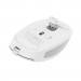 Trust Мишка Trust Ozza compact Bluetooth/Wireless/USB-A White (24933)