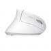 Trust Мишка Trust Verto Ergonomic Wireless White (25132)