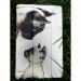 BeCover Чохол до планшета BeCover Smart Case Samsung Tab A9 SM-X115 8.7" Cat (711267)