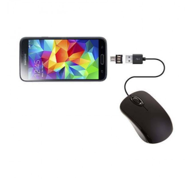 Lenovo Ноутбук Lenovo ThinkBook 16 G7 IML (21MS004FRA)