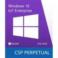 Microsoft Операційна система Microsoft Windows 10 IoT Enterprise LTSC 2021 Perpetual, Commercial, OneTime (DG7GMGF0H3RD_0002)