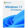 Microsoft Операційна система Microsoft Windows 11 IoT Enterprise LTSC 2024 Perpetual, Commercial, OneTime (DG7GMGF0PP49_0001)