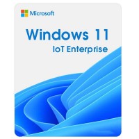 Операційна система Microsoft Windows 11 IoT Enterprise LTSC 2024 Perpetual, Commercial, OneTime (DG7GMGF0PP49_0001)