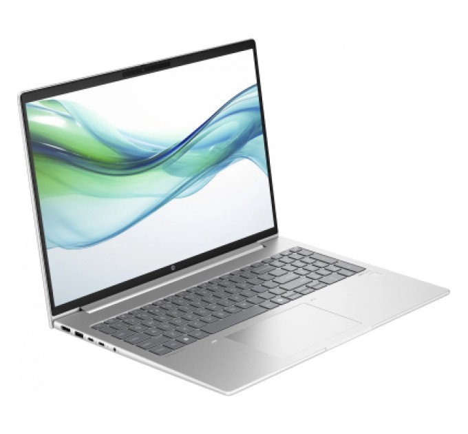 HP Ноутбук HP ProBook 460 G11 (8Z677AV_V2)