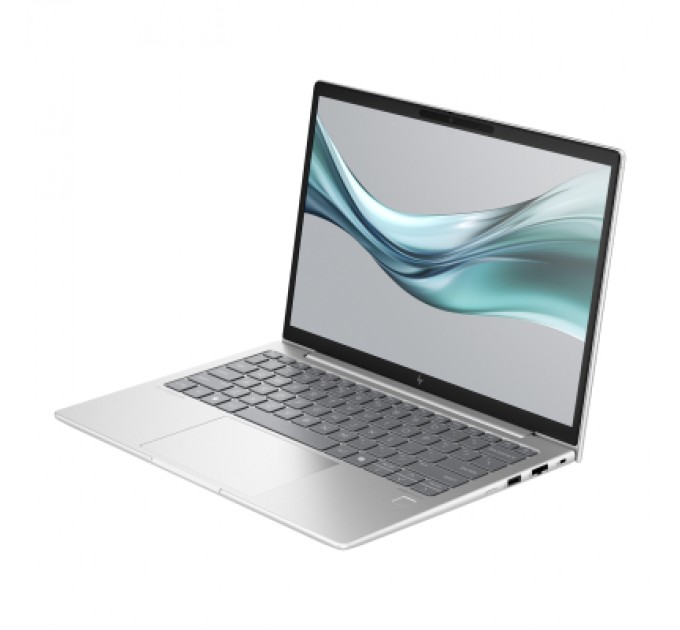 HP Ноутбук HP EliteBook 630 G11 (900X9AV_V1)