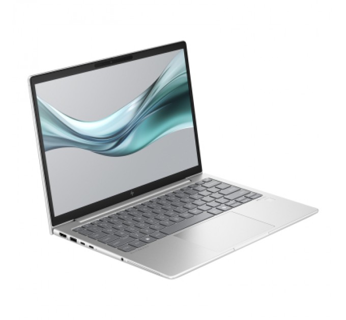 HP Ноутбук HP EliteBook 630 G11 (900X9AV_V1)