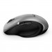 Genius Мишка Genius Ergo 8200S Wireless Silver (31030029404)