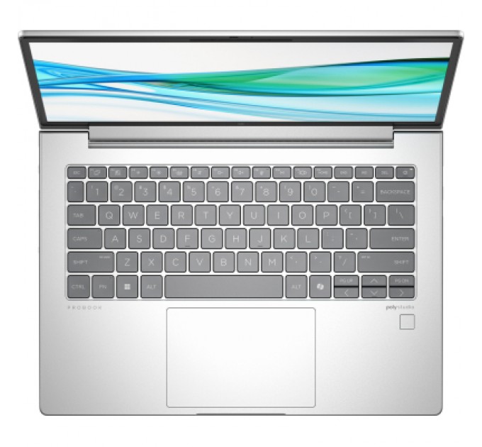 HP Ноутбук HP Probook 445 G11 (9Y7K7ET)