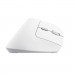 Trust Мишка Trust Bayo II Ergonomic Wireless White (25398)