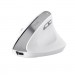 Trust Мишка Trust Bayo II Ergonomic Wireless White (25398)