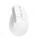 Trust Мишка Trust Bayo II Ergonomic Wireless White (25398)