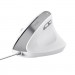Trust Мишка Trust Bayo II Ergonomic USB White (25397)