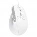 Trust Мишка Trust Bayo II Ergonomic USB White (25397)