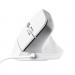 Trust Мишка Trust Bayo II Ergonomic USB White (25397)