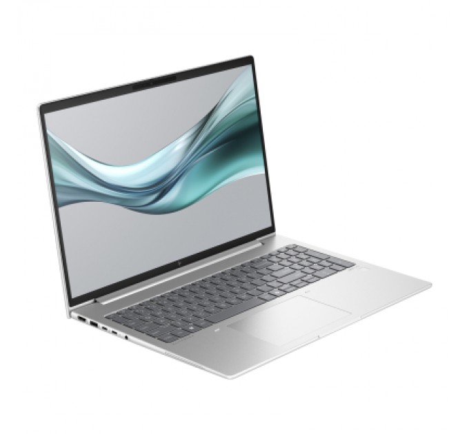 HP Ноутбук HP EliteBook 665 G11 (8Z715AV_V1)