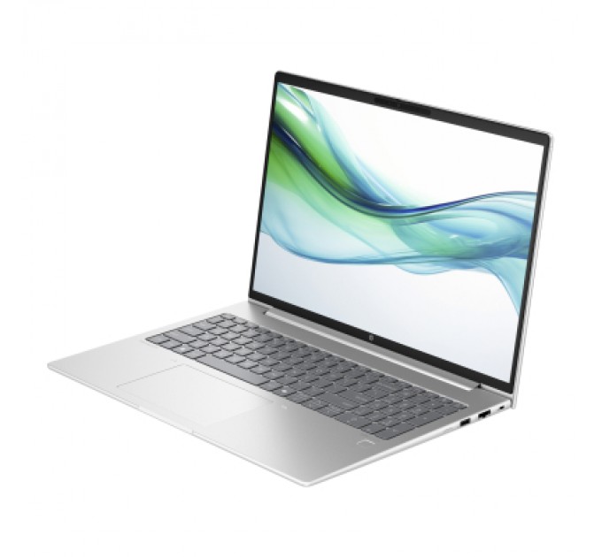 HP Ноутбук HP ProBook 460 G11 (8Z675AV_V4)