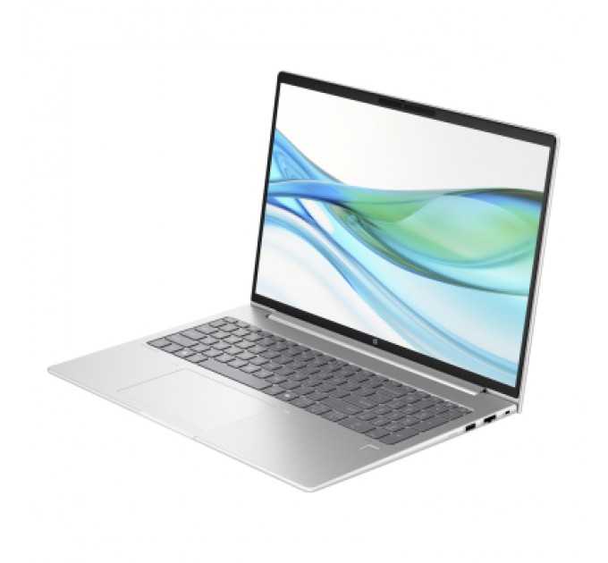 HP Ноутбук HP ProBook 465 G11 (901H2AV_V2)