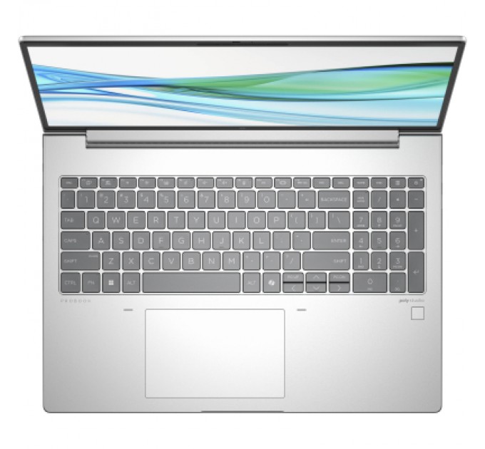 HP Ноутбук HP ProBook 465 G11 (901H6AV_V2)