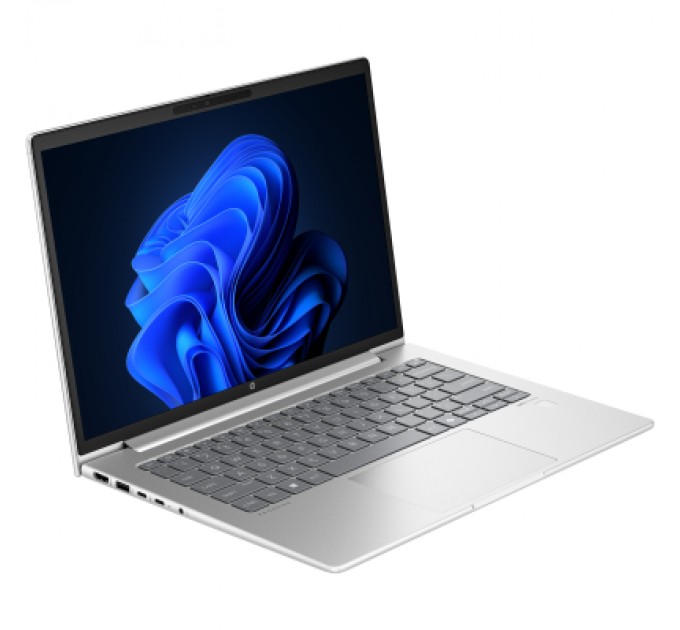 HP Ноутбук HP Probook 445 G11 (AD0T5ET)