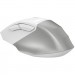 A4Tech Мишка A4Tech FB45CS Air2 Bluetooth/Wireless Silver/White (4711421999373)