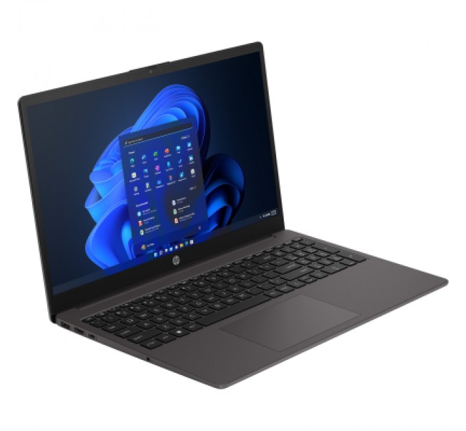 HP Ноутбук HP 255 G10 (AK9N8AT)