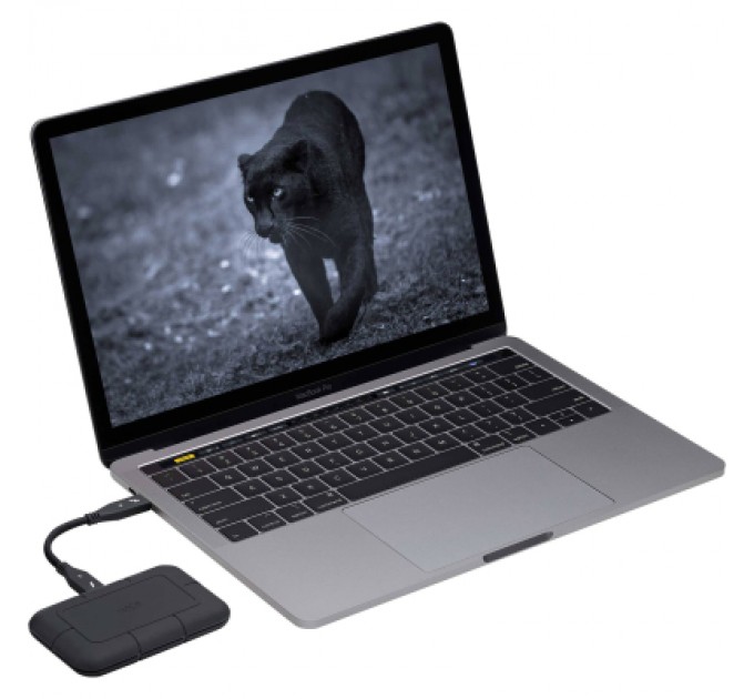 LaCie Накопичувач SSD USB-C 4TB LaCie (STHZ4000800)