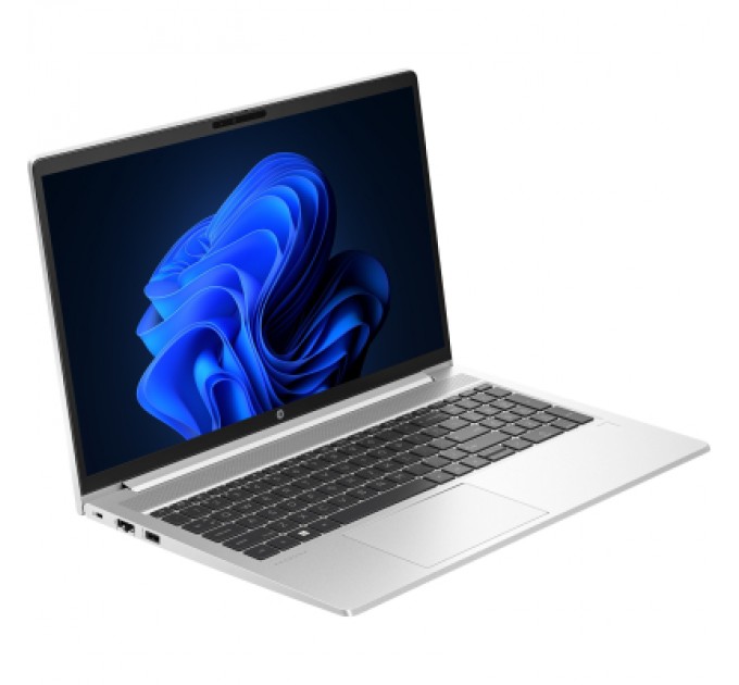 HP Ноутбук HP ProBook 450 G10 (AK9S4AT)