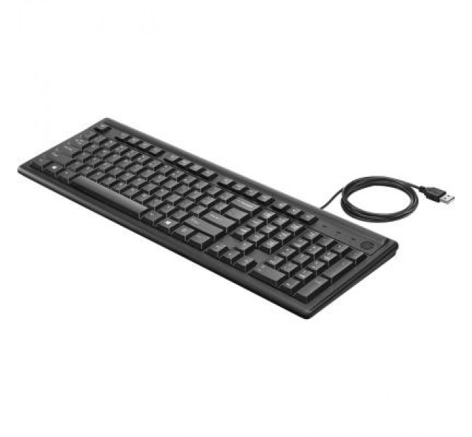 HP Клавіатура HP 100 USB Black (2UN30AA)