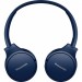 Panasonic Навушники Panasonic RB-HF420BGEA Blue (RB-HF420BGEA)