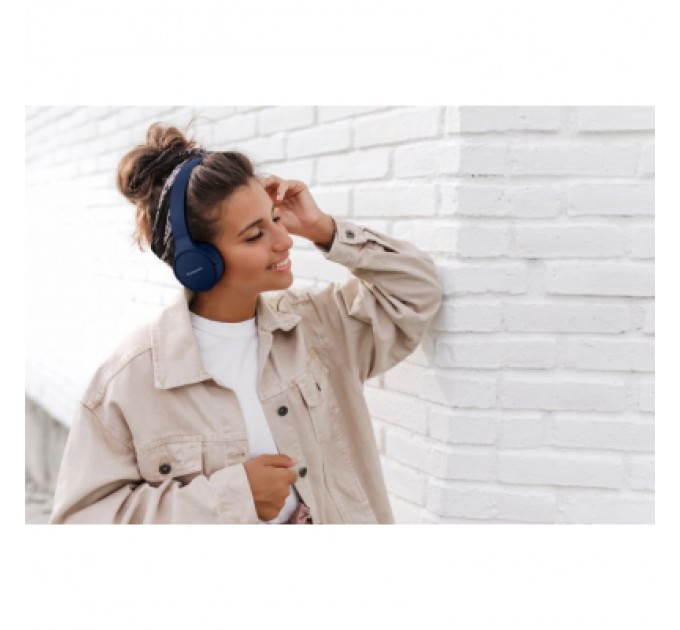 Panasonic Навушники Panasonic RB-HF420BGEA Blue (RB-HF420BGEA)