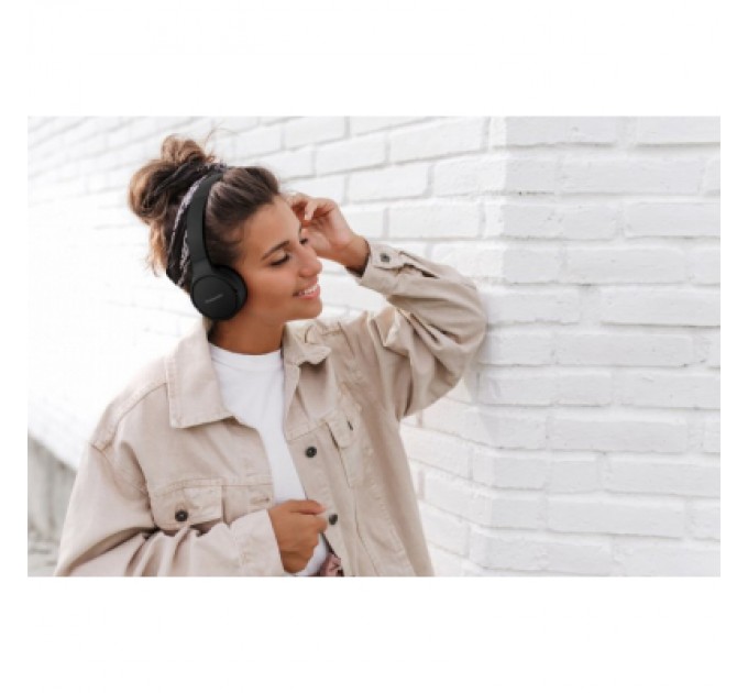 Panasonic Навушники Panasonic RB-HF420BGEK Black (RB-HF420BGEK)