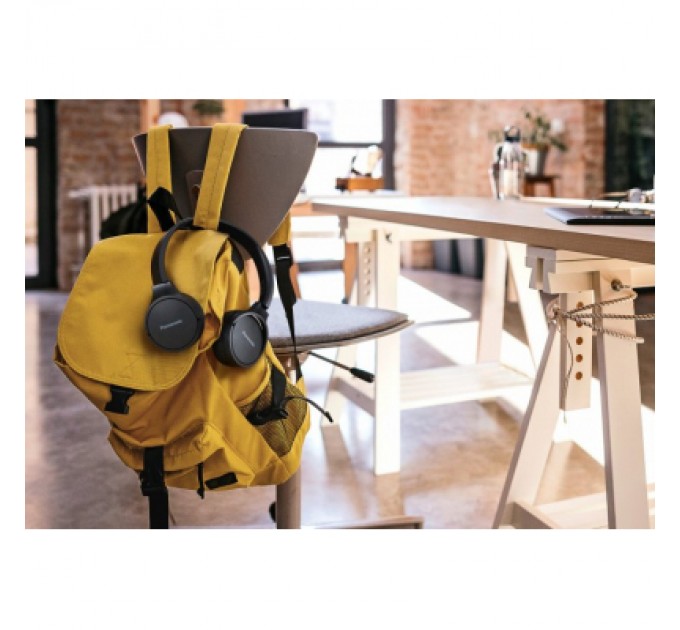 Panasonic Навушники Panasonic RB-HF420BGEK Black (RB-HF420BGEK)