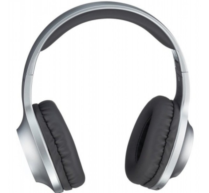 Panasonic Навушники Panasonic RB-HX220BEE-S Gray (RB-HX220BEE-S)