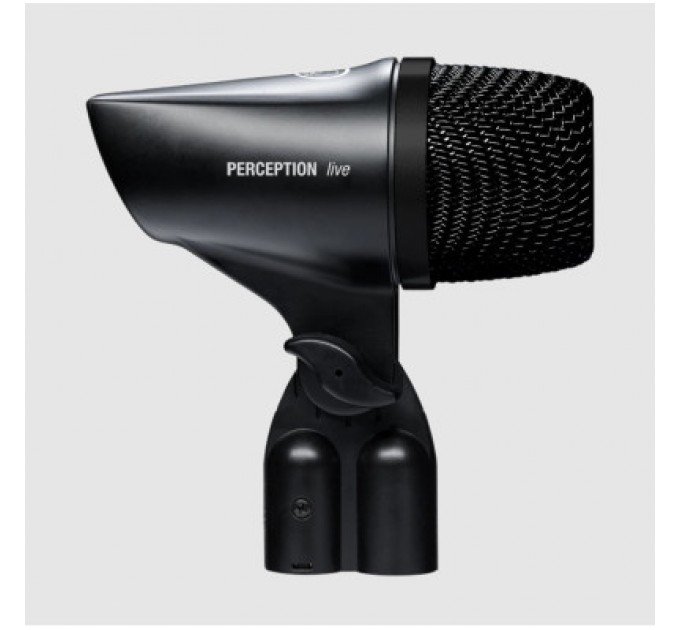 AKG Мікрофон AKG P2 (3100H00150)