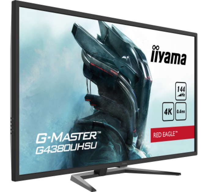 iiyama Монітор iiyama G4380UHSU-B1