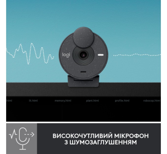 Logitech Веб-камера Logitech Brio 300 FHD Graphite (960-001436)