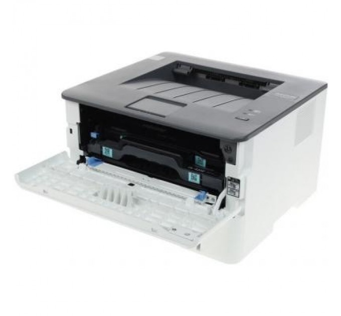 Pantum Лазерний принтер Pantum P3010D