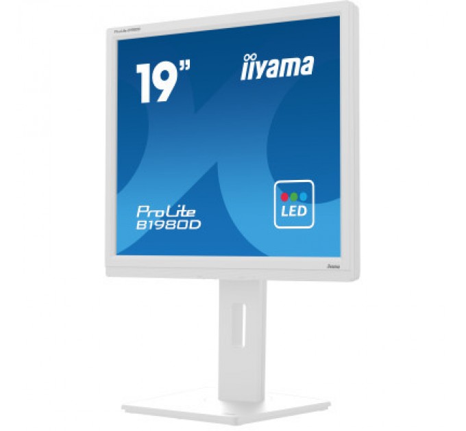iiyama Монітор iiyama B1980D-W5