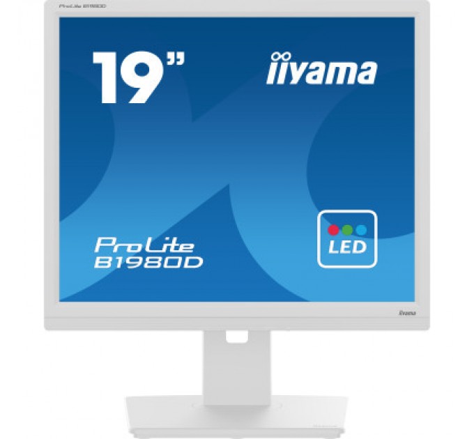 iiyama Монітор iiyama B1980D-W5