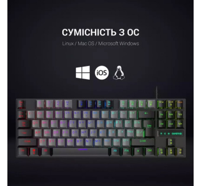 GamePro Клавіатура GamePro MK100B Blue Switch LED USB Black (MK100B)