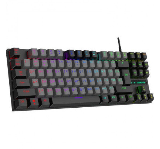 GamePro Клавіатура GamePro MK100B Blue Switch LED USB Black (MK100B)