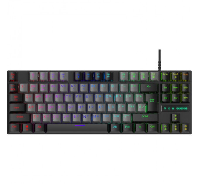 GamePro Клавіатура GamePro MK100B Blue Switch LED USB Black (MK100B)