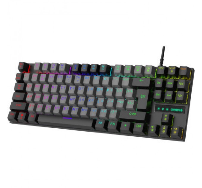 GamePro Клавіатура GamePro MK100B Blue Switch LED USB Black (MK100B)