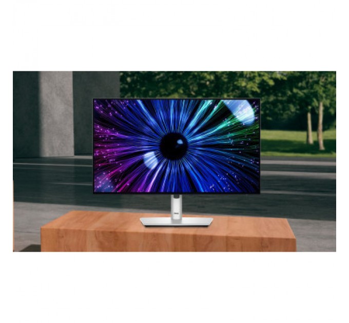 Dell Монітор Dell U2424HE (210-BKJF)