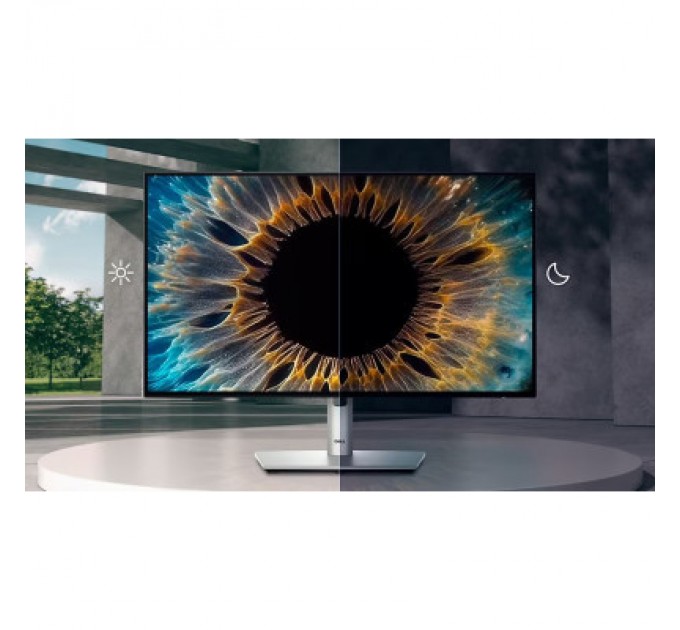 Dell Монітор Dell U2424HE (210-BKJF)