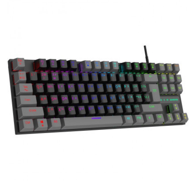 GamePro Клавіатура GamePro MK100R Red Switch LED USB Black/Grey (MK100R)