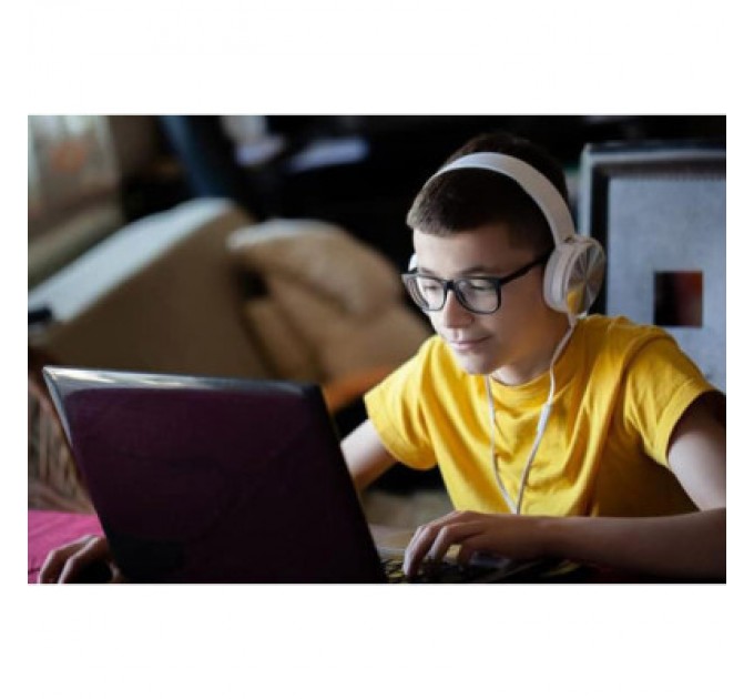 Iris Сканер Iris Desk 6 Pro Dyslexic (462992)