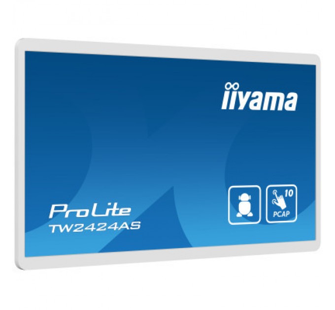 iiyama Монітор iiyama TW2424AS-W1