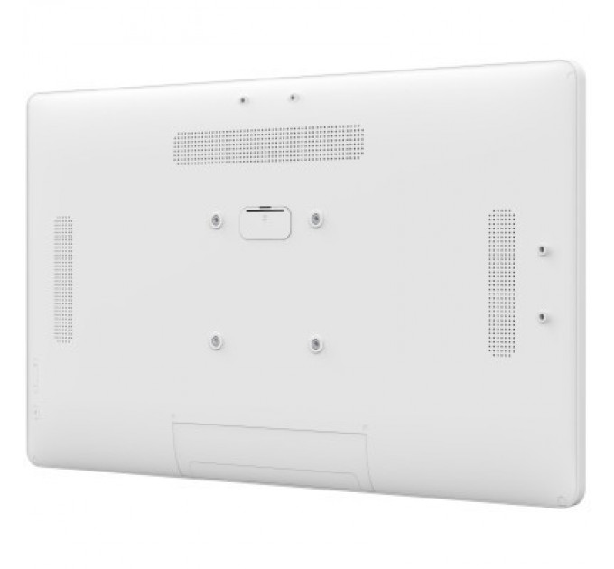 iiyama Монітор iiyama TW2424AS-W1